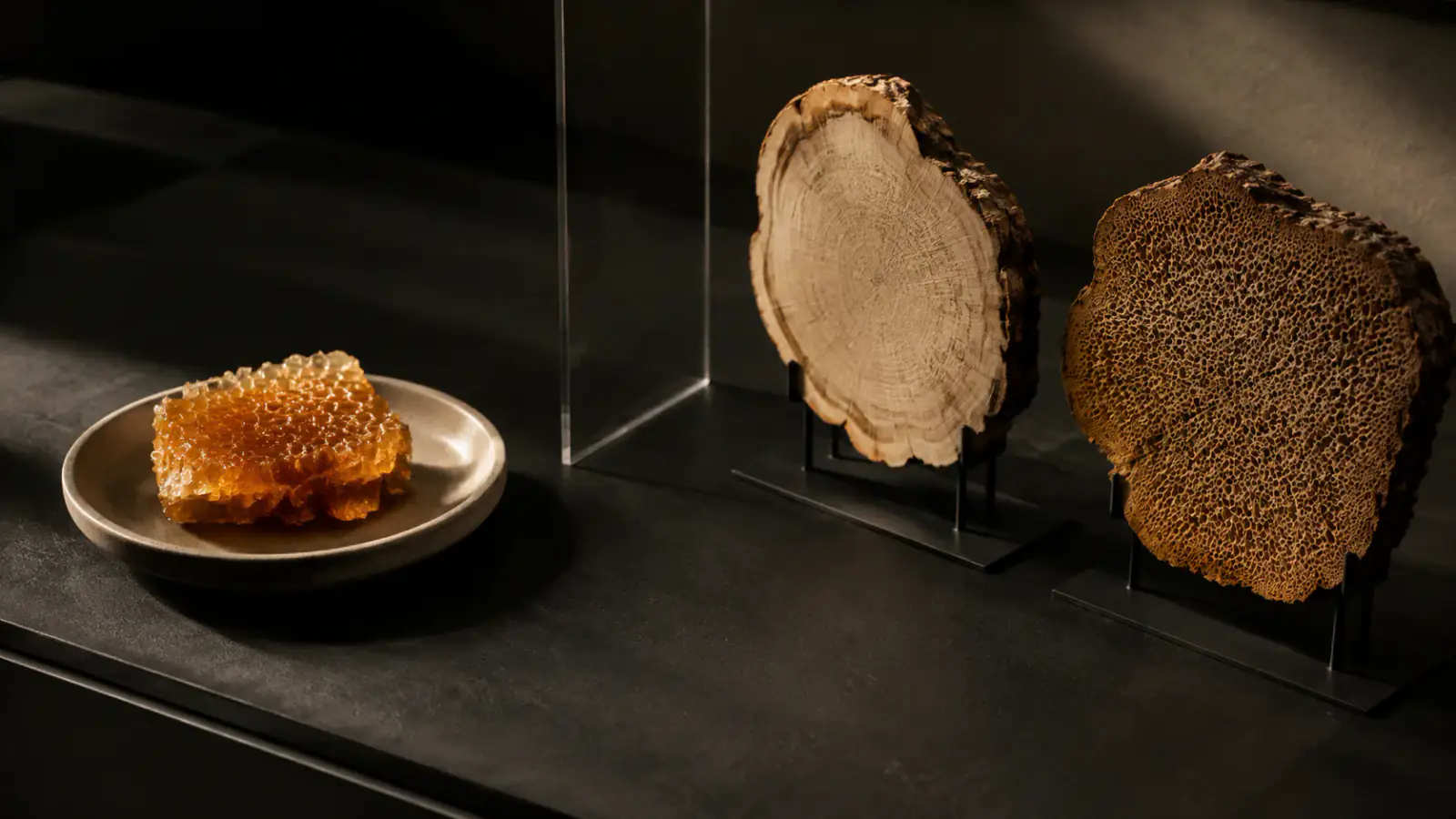 Miel, recipiente y hojas de árbol separados sobre fondo cartográfico borroso