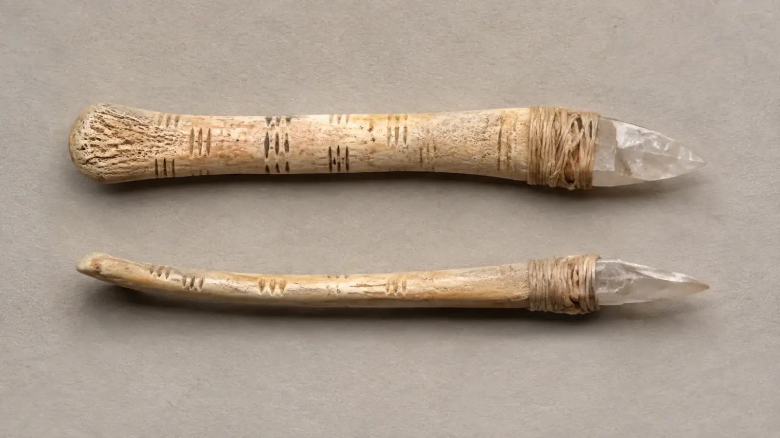 Dibujo técnico frontal y lateral del útil de Ishango con escala de diez centímetros