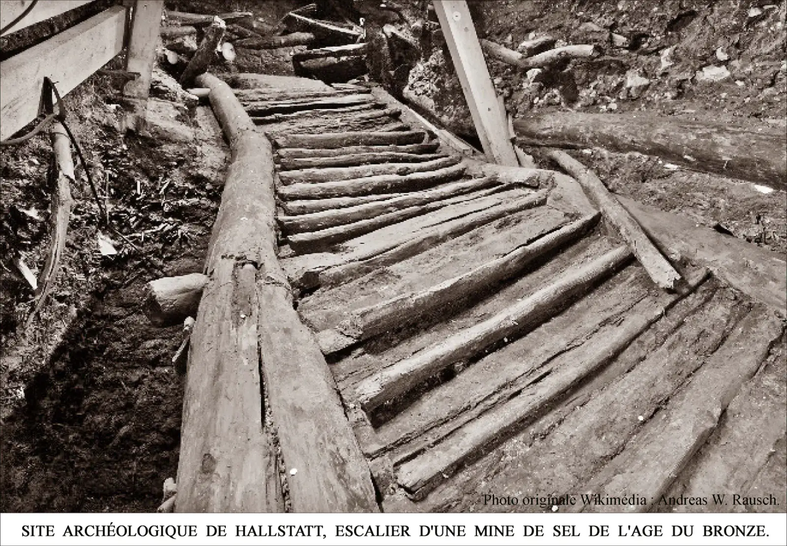 Escalera de madera de la Edad del Bronce conservada en las minas de sal de Hallstatt