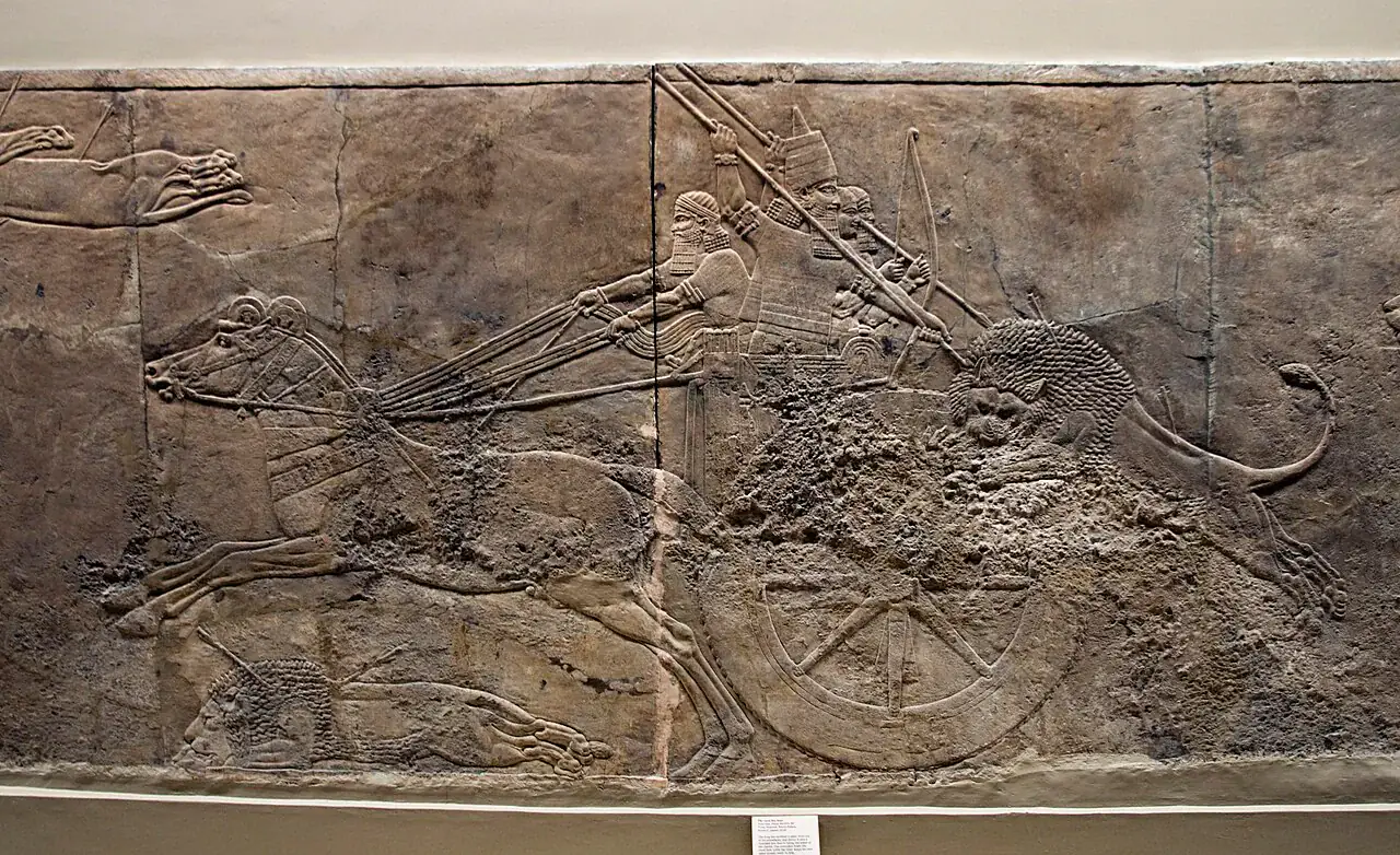 Fotografía de los relieves originales de la cacería de Asurbanipal: detalle del conjunto de paneles 22–25, sala C, BM 124852–124855. Carro, rey y leones visibles; no muestra todos los extremos de las losas.