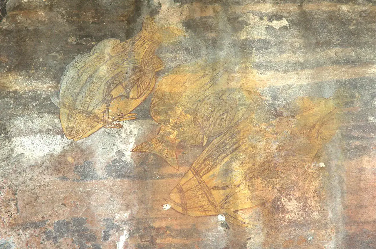 Peces de anatomía visible pintados en una galería rupestre de Kakadu