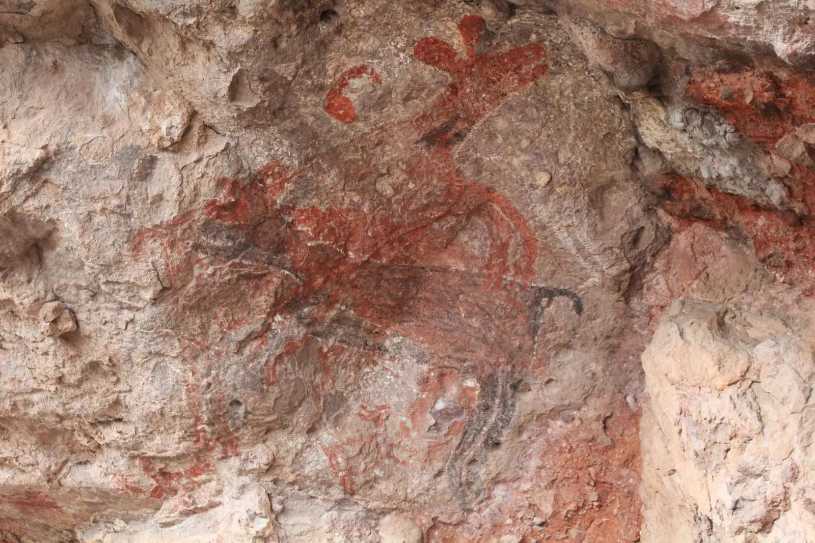 Gran figura antropomorfa bicolor en la cueva El Ratón, Sierra de San Francisco