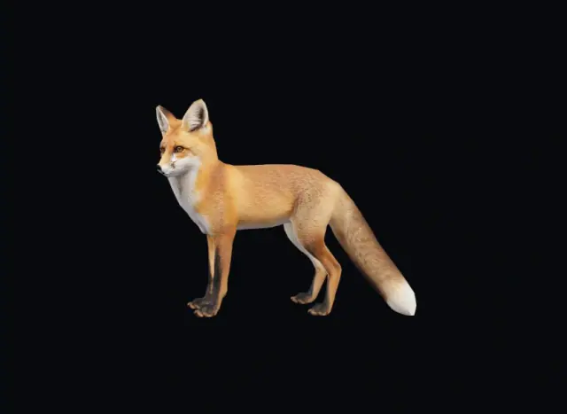 Reconstrução tridimensional de uma raposa-vermelha para comparação com a fauna e os relevos de Göbekli Tepe