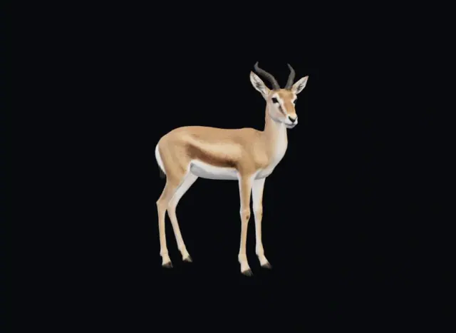 Reconstrução ilustrativa identificada no ficheiro como Gazella psolea, espécie fóssil de Marrocos