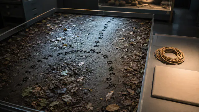 Pegadas de animais e sinais abstratos sem cena de caça nem corpo animal