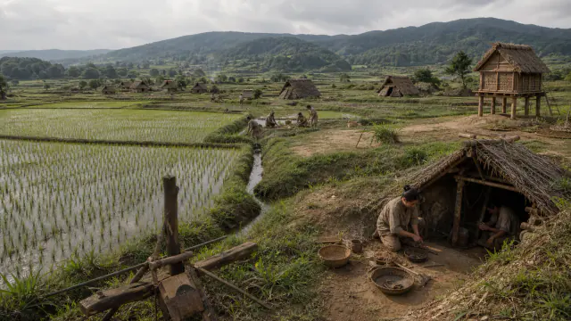 Imagem de Itazuke: o arrozal como infraestrutura